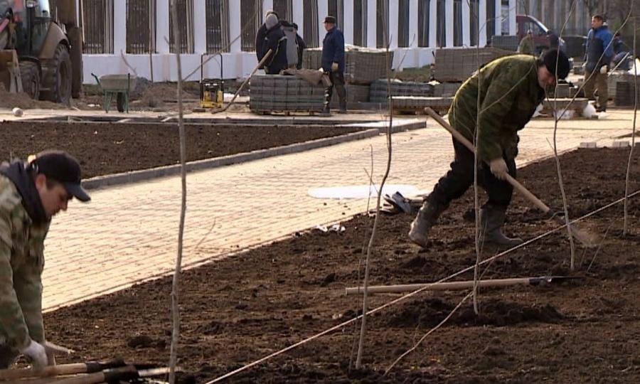 В Архангельске на будущей аллее около стадиона «Динамо» высадили первые рябины